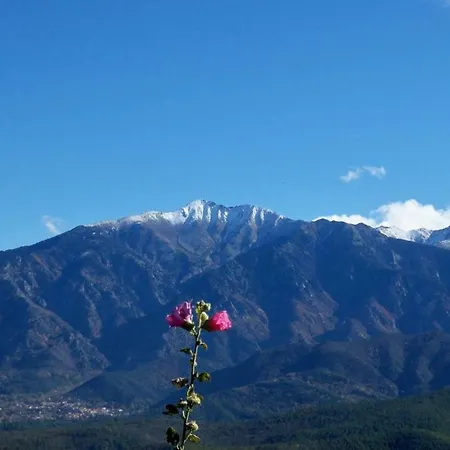 Canigou 펜션 *