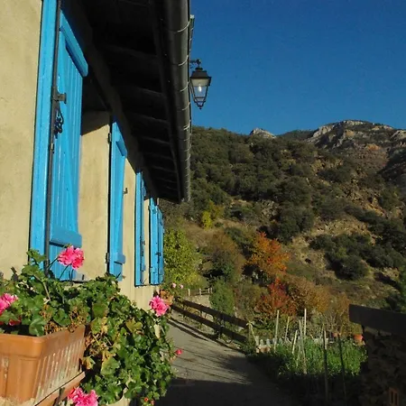 Canigou * Jujols
